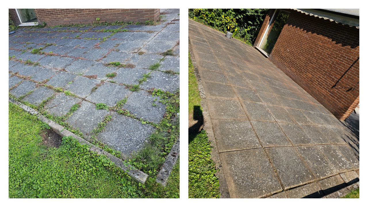 Fachgerechter Heckenschnitt in Bückeburg und Umgebung: Wir schneiden, formen und pflegen Hecken sauber und präzise – inklusive Entsorgung des Schnittguts. Einsatzgebiet: Bückeburg, Stadthagen, Rinteln, Bad Eilsen, Ahnsen, Luhden, Obernkirchen, Porta Westfalica, Minden, Lindhorst, Helpsen und Seggebruch.