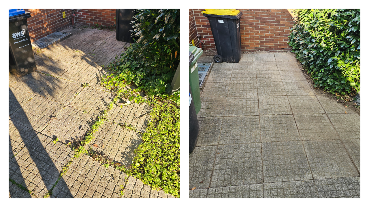 Fachgerechter Heckenschnitt in Bückeburg und Umgebung: Wir schneiden, formen und pflegen Hecken sauber und präzise – inklusive Entsorgung des Schnittguts. Einsatzgebiet: Bückeburg, Stadthagen, Rinteln, Bad Eilsen, Ahnsen, Luhden, Obernkirchen, Porta Westfalica, Minden, Lindhorst, Helpsen und Seggebruch.