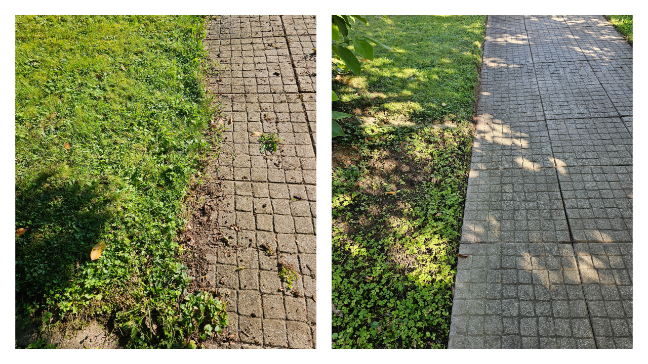 Fachgerechter Heckenschnitt in Bückeburg und Umgebung: Wir schneiden, formen und pflegen Hecken sauber und präzise – inklusive Entsorgung des Schnittguts. Einsatzgebiet: Bückeburg, Stadthagen, Rinteln, Bad Eilsen, Ahnsen, Luhden, Obernkirchen, Porta Westfalica, Minden, Lindhorst, Helpsen und Seggebruch.