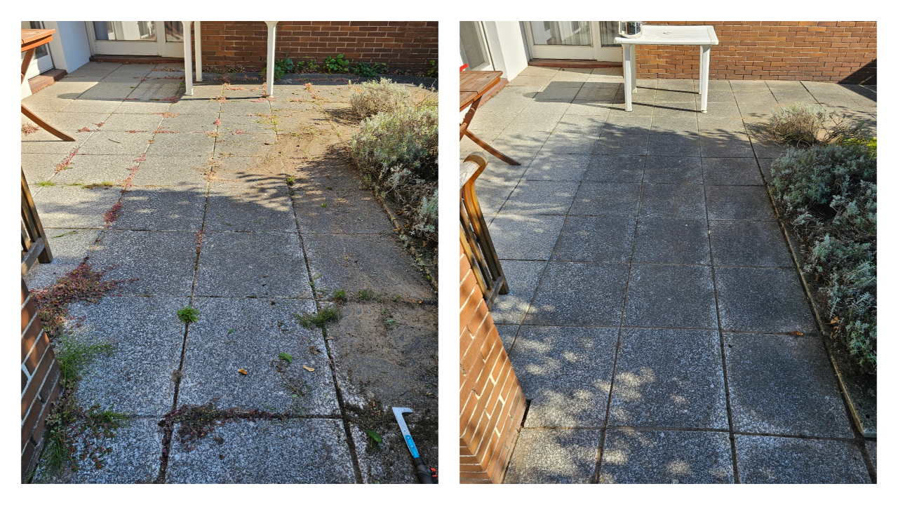 Fachgerechter Heckenschnitt in Bückeburg und Umgebung: Wir schneiden, formen und pflegen Hecken sauber und präzise – inklusive Entsorgung des Schnittguts. Einsatzgebiet: Bückeburg, Stadthagen, Rinteln, Bad Eilsen, Ahnsen, Luhden, Obernkirchen, Porta Westfalica, Minden, Lindhorst, Helpsen und Seggebruch.