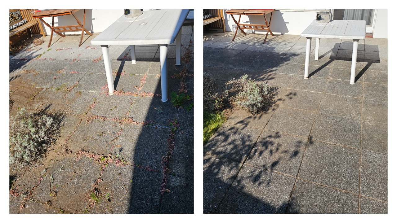 Fachgerechter Heckenschnitt in Bückeburg und Umgebung: Wir schneiden, formen und pflegen Hecken sauber und präzise – inklusive Entsorgung des Schnittguts. Einsatzgebiet: Bückeburg, Stadthagen, Rinteln, Bad Eilsen, Ahnsen, Luhden, Obernkirchen, Porta Westfalica, Minden, Lindhorst, Helpsen und Seggebruch.