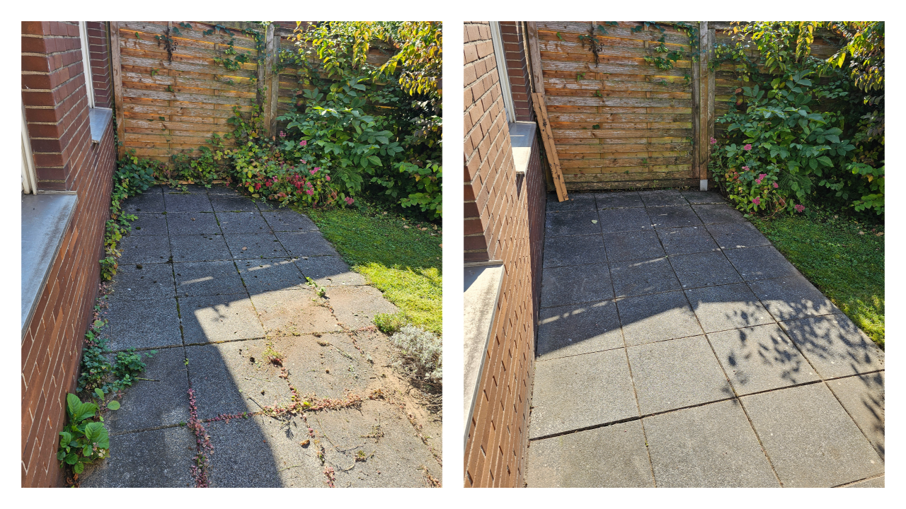 Fachgerechter Heckenschnitt in Bückeburg und Umgebung: Wir schneiden, formen und pflegen Hecken sauber und präzise – inklusive Entsorgung des Schnittguts. Einsatzgebiet: Bückeburg, Stadthagen, Rinteln, Bad Eilsen, Ahnsen, Luhden, Obernkirchen, Porta Westfalica, Minden, Lindhorst, Helpsen und Seggebruch.