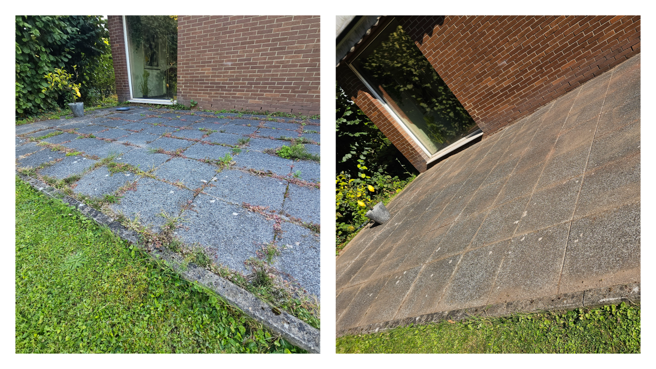 Fachgerechter Heckenschnitt in Bückeburg und Umgebung: Wir schneiden, formen und pflegen Hecken sauber und präzise – inklusive Entsorgung des Schnittguts. Einsatzgebiet: Bückeburg, Stadthagen, Rinteln, Bad Eilsen, Ahnsen, Luhden, Obernkirchen, Porta Westfalica, Minden, Lindhorst, Helpsen und Seggebruch.