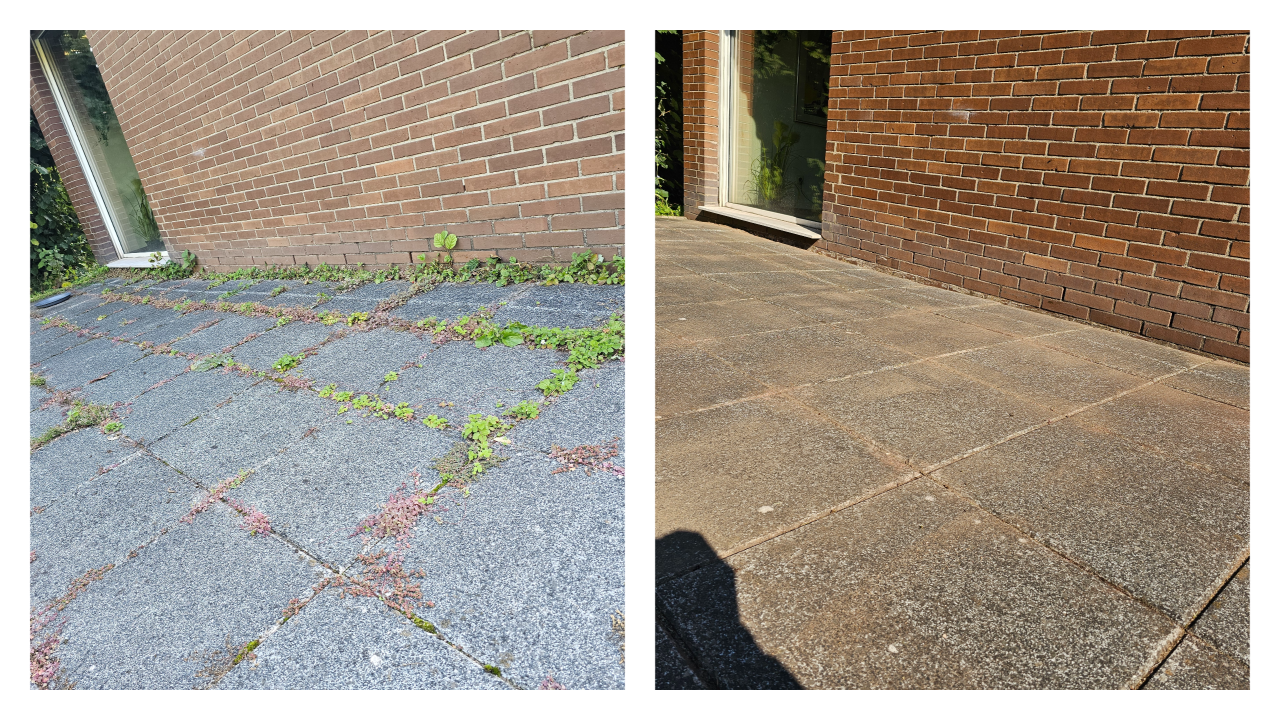 Fachgerechter Heckenschnitt in Bückeburg und Umgebung: Wir schneiden, formen und pflegen Hecken sauber und präzise – inklusive Entsorgung des Schnittguts. Einsatzgebiet: Bückeburg, Stadthagen, Rinteln, Bad Eilsen, Ahnsen, Luhden, Obernkirchen, Porta Westfalica, Minden, Lindhorst, Helpsen und Seggebruch.