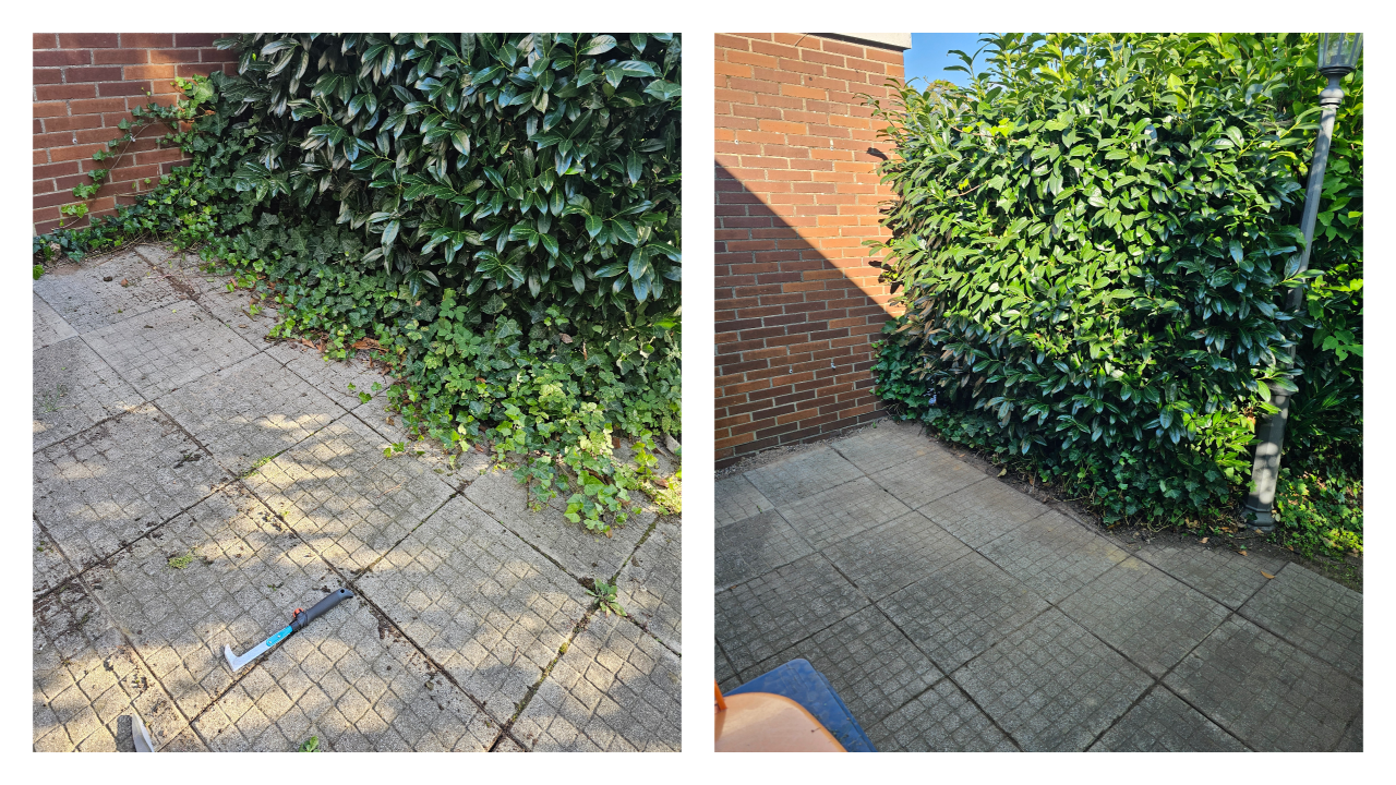 Fachgerechter Heckenschnitt in Bückeburg und Umgebung: Wir schneiden, formen und pflegen Hecken sauber und präzise – inklusive Entsorgung des Schnittguts. Einsatzgebiet: Bückeburg, Stadthagen, Rinteln, Bad Eilsen, Ahnsen, Luhden, Obernkirchen, Porta Westfalica, Minden, Lindhorst, Helpsen und Seggebruch.