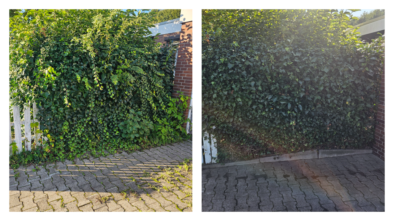 Fachgerechter Heckenschnitt in Bückeburg und Umgebung: Wir schneiden, formen und pflegen Hecken sauber und präzise – inklusive Entsorgung des Schnittguts. Einsatzgebiet: Bückeburg, Stadthagen, Rinteln, Bad Eilsen, Ahnsen, Luhden, Obernkirchen, Porta Westfalica, Minden, Lindhorst, Helpsen und Seggebruch.