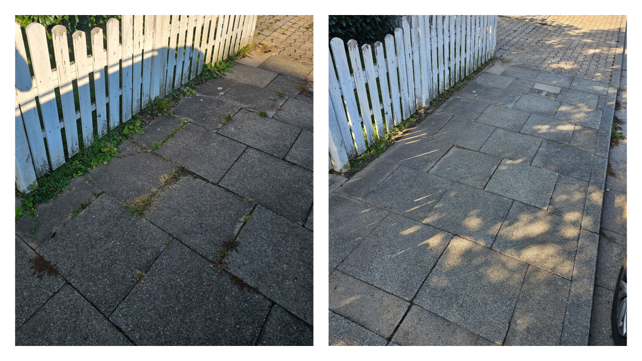 Fachgerechter Heckenschnitt in Bückeburg und Umgebung: Wir schneiden, formen und pflegen Hecken sauber und präzise – inklusive Entsorgung des Schnittguts. Einsatzgebiet: Bückeburg, Stadthagen, Rinteln, Bad Eilsen, Ahnsen, Luhden, Obernkirchen, Porta Westfalica, Minden, Lindhorst, Helpsen und Seggebruch.