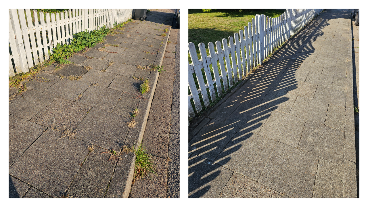 Fachgerechter Heckenschnitt in Bückeburg und Umgebung: Wir schneiden, formen und pflegen Hecken sauber und präzise – inklusive Entsorgung des Schnittguts. Einsatzgebiet: Bückeburg, Stadthagen, Rinteln, Bad Eilsen, Ahnsen, Luhden, Obernkirchen, Porta Westfalica, Minden, Lindhorst, Helpsen und Seggebruch.