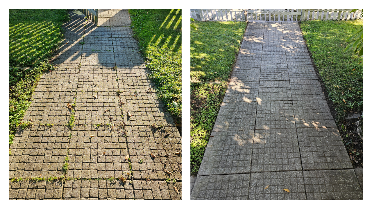 Fachgerechter Heckenschnitt in Bückeburg und Umgebung: Wir schneiden, formen und pflegen Hecken sauber und präzise – inklusive Entsorgung des Schnittguts. Einsatzgebiet: Bückeburg, Stadthagen, Rinteln, Bad Eilsen, Ahnsen, Luhden, Obernkirchen, Porta Westfalica, Minden, Lindhorst, Helpsen und Seggebruch.