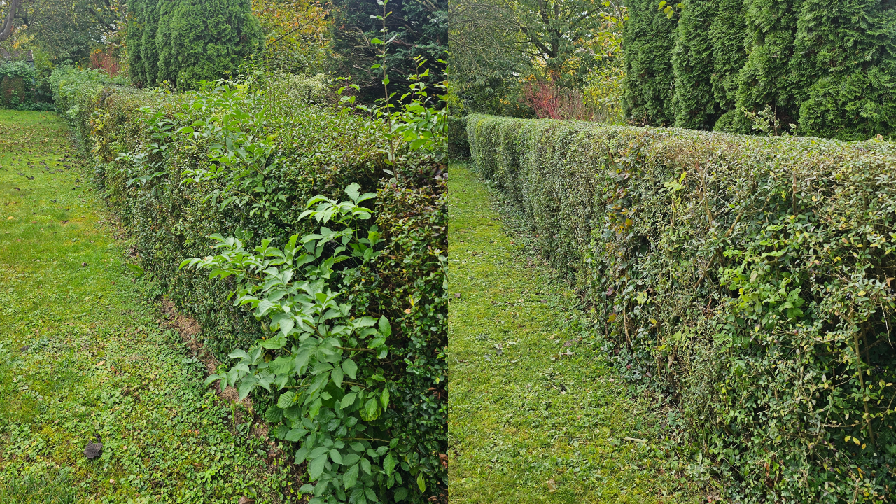 Dieser Heckenschnitt wurde in Bückeburg durchgeführt. Die Hecke wurde fachgerecht zurückgeschnitten, begradigt und in Form gebracht. Wie bei allen Projekten übernehmen wir auch hier die vollständige Entsorgung des Schnittguts. Wir sind täglich in Bückeburg, Rinteln, Stadthagen, Obernkirchen, Bad Eilsen, Porta Westfalica, Ahnsen, Luhden, Helpsen, Lindhorst und der gesamten Schaumburger Region im Einsatz.