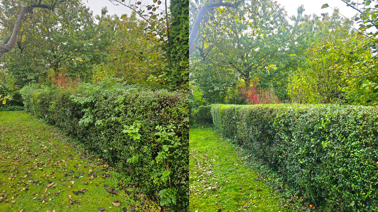 Dieser Heckenschnitt wurde in Bückeburg durchgeführt. Die Hecke wurde fachgerecht zurückgeschnitten, begradigt und in Form gebracht. Wie bei allen Projekten übernehmen wir auch hier die vollständige Entsorgung des Schnittguts. Wir sind täglich in Bückeburg, Rinteln, Stadthagen, Obernkirchen, Bad Eilsen, Porta Westfalica, Ahnsen, Luhden, Helpsen, Lindhorst und der gesamten Schaumburger Region im Einsatz.