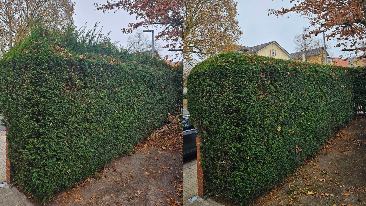 Fachgerechter Heckenschnitt in Bückeburg und Umgebung: Wir schneiden, formen und pflegen Hecken sauber und präzise – inklusive Entsorgung des Schnittguts. Einsatzgebiet: Bückeburg, Stadthagen, Rinteln, Bad Eilsen, Ahnsen, Luhden, Obernkirchen, Porta Westfalica, Minden, Lindhorst, Helpsen und Seggebruch.