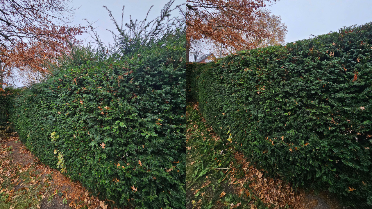 Fachgerechter Heckenschnitt in Bückeburg und Umgebung: Wir schneiden, formen und pflegen Hecken sauber und präzise – inklusive Entsorgung des Schnittguts. Einsatzgebiet: Bückeburg, Stadthagen, Rinteln, Bad Eilsen, Ahnsen, Luhden, Obernkirchen, Porta Westfalica, Minden, Lindhorst, Helpsen und Seggebruch.